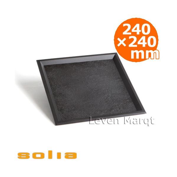 \A solia X[ggC 240×240mm ubN 10 Ɩp/P[^O/ĝĐH