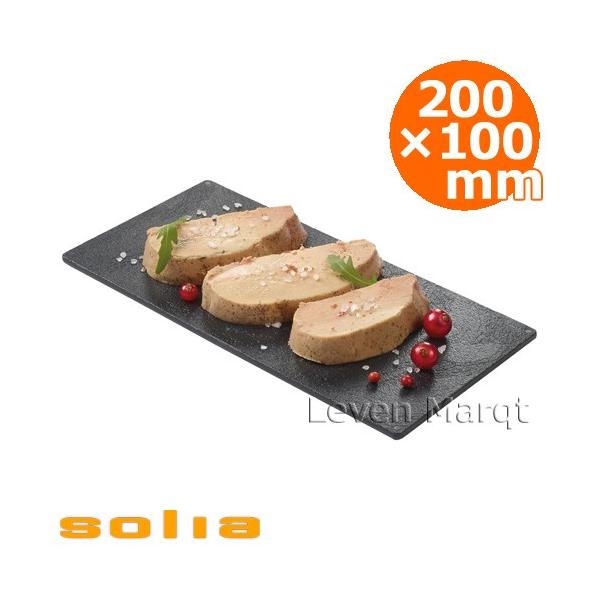 \A solia X[ggC 200×100mm ubN 10 Ɩp/P[^O/ĝĐH