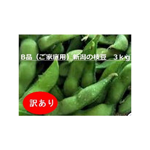 【ワケアリ品　送料無料】新潟黒埼産のブランド枝豆3kg　粒の不ぞろい・変形・実入りが悪いなどの理由で贈答用の選別後に発生した商品をクール便で発送