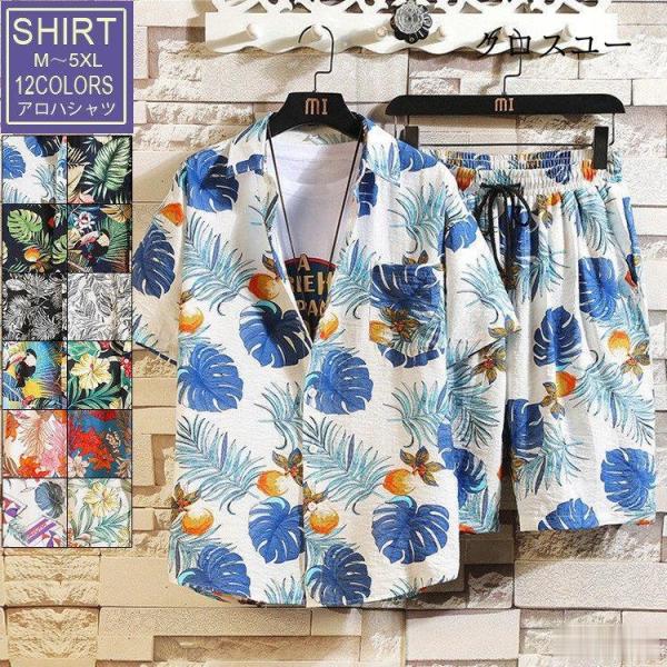 ZbgAbv Y ㉺Zbg AnVc   ㉺ [EFA  傫TCY 