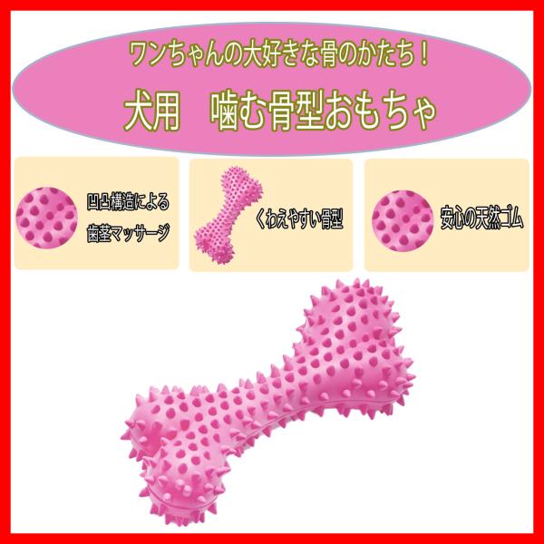 lib-2021store_ap30