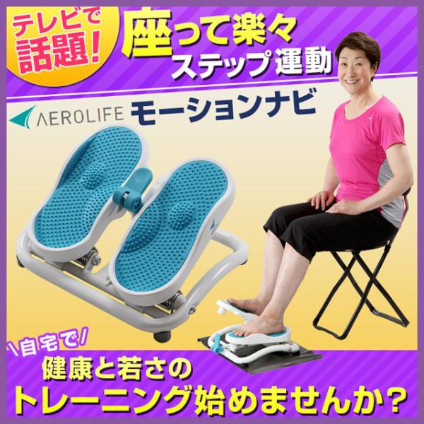 AEROLIFE ステッパー エアロライフ モーションナビ DR-3830 正規 AEROLIFE ステッパー エアロライフ モーションナビ DR-3830 正規