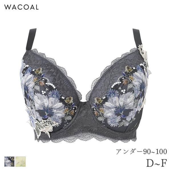 WACOAL（ワコール） プレミアム 26シリーズ ブラジャー 3/4カップ Q