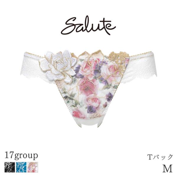 サルート 17group ＷＨ D65ノーマル、TショーツM 3点セット サルート（SALUTE） Salute 17グループ ワコール ショーツ はきこみ丈