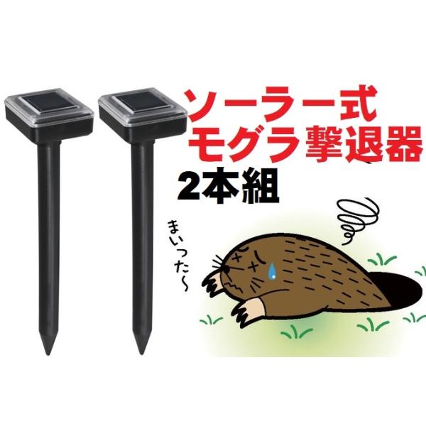 lY~EOފ2{g@ \[[@f΍ Qb쏜ގ  ؉@Ԓd@@K[fjO@_