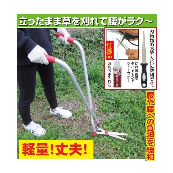 ŐEG荞݃oT~Zbg@K[fjOpi@ GNXeA  _Ɓ@K[f@Aؙ͂݁@G芠  G   |Jb^[ |pi