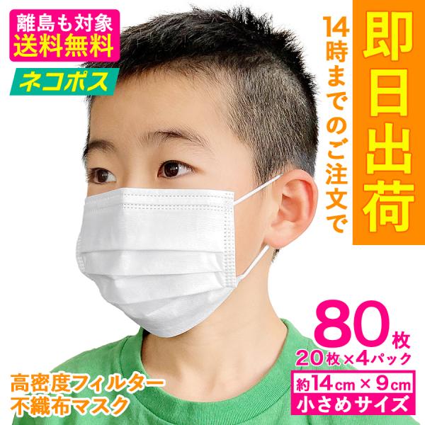 小さめマスク 女性 みんな探してる人気モノ 小さめマスク 女性 ダイエット 健康