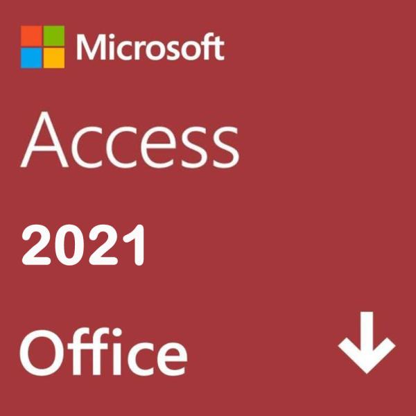 マイクロソフト Microsoft Access 2021(最新 永続版)|オンライン