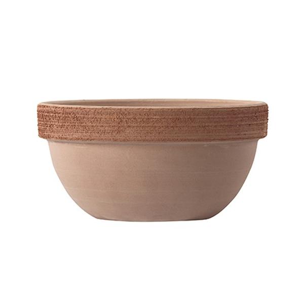 Aؔ C^A eRb^ WI{[ 25cm 2 eRb^XNb`l