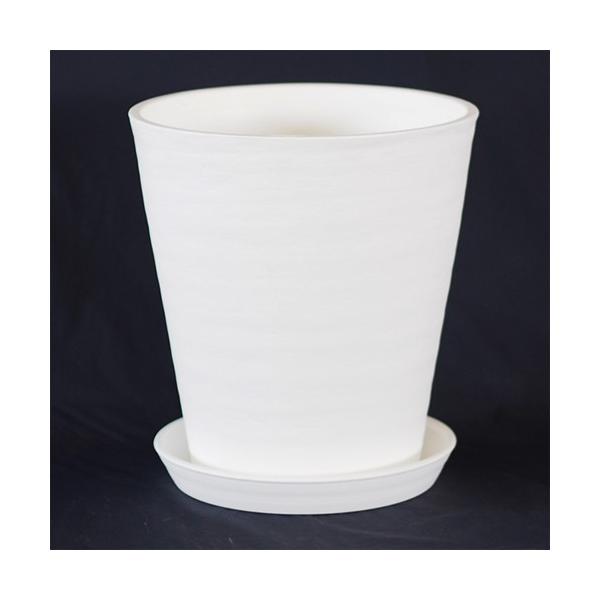 Aؔ ZA[g   Oa28.5cm Mt