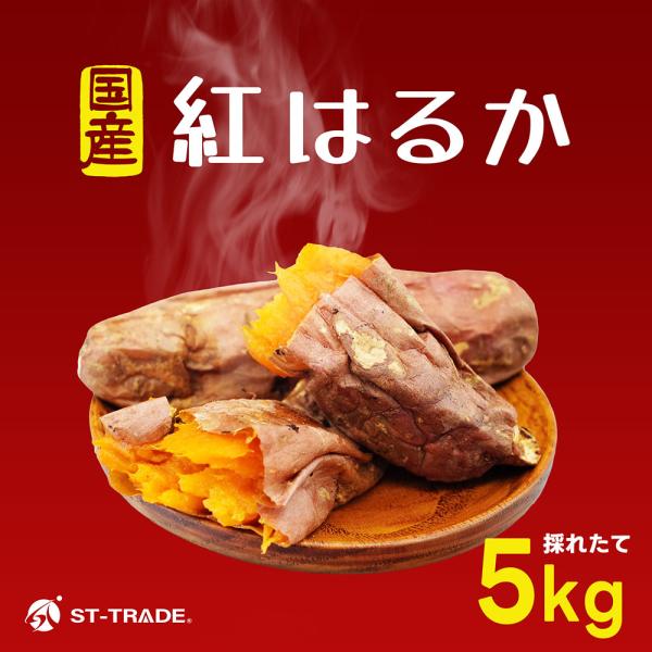 採れたて【紅はるか5kg】サツマイモ 土付きでお届け サイズお任せ