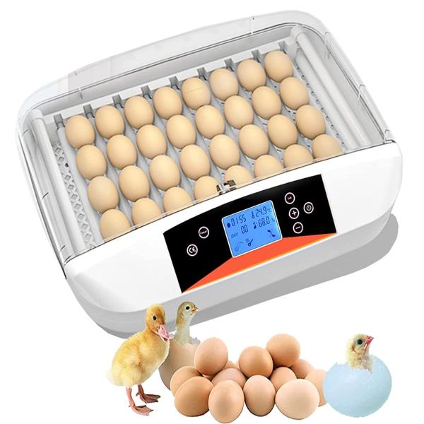 鳥類全自動孵卵器 孵卵機 ふ卵機 孵化器 インキュベーター LED液晶 鳥類全自動孵卵器 孵卵機 ふ卵機 孵化器 インキュベーター LED液晶