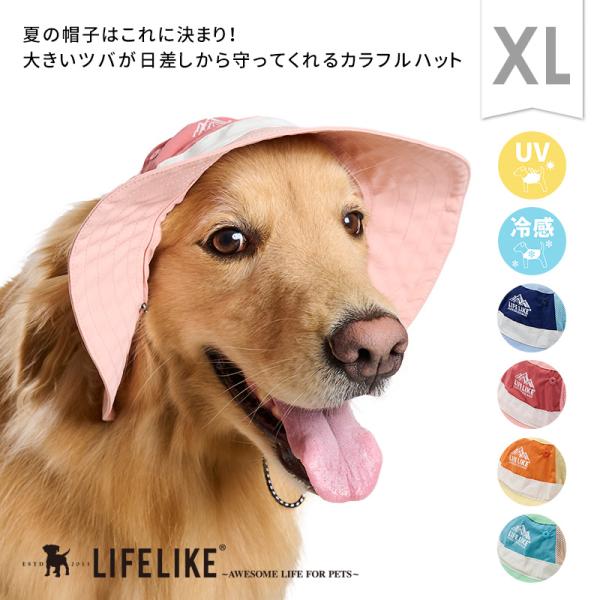 COOLINGマウンテンハットXL 犬 かぶりもの 帽子 ハット ツバ 大型犬 春 夏 カラフル アウトドア UV 紫外線対策 暑さ対策 熱中症対策 日よけ 白内障予防 LIFELIKE
