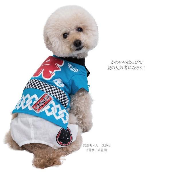 Lifelike 犬 猫 服 小型犬 中型犬 サイズ 春夏 春 夏用 夏 だんじり法被 1 5号 2l 3l Buyee Buyee Japanese Proxy Service Buy From Japan Bot Online