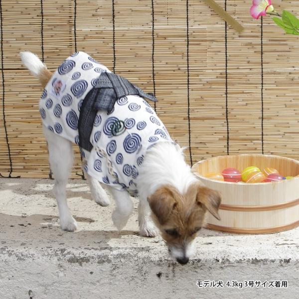 Lifelike 犬猫服半袖小型犬中型犬春夏春夏用夏うずまき甚平1 5号2l 3l Buyee Buyee 提供一站式最全面最專業現地yahoo Japan拍賣代bid代拍代購服務