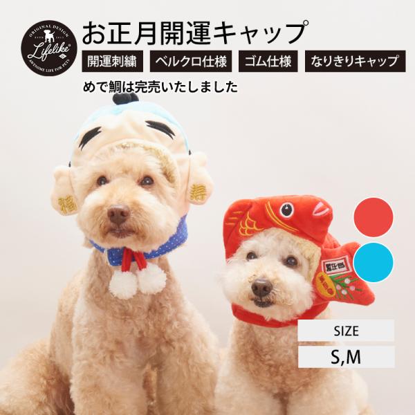 正月 被り物 犬 猫 かぶりもの 帽子 小型犬 中型犬 Lifelike お正月開運キャップ S M 秋冬 冬用 秋 冬 キャップ お正月 新年 元旦 イベント 85w007 Lifelike 通販 Yahoo ショッピング