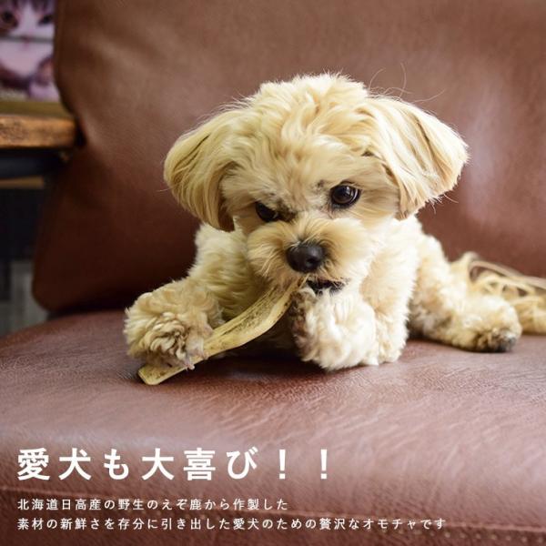 Gibier Style 犬用 おやつ 鹿骨 鹿角えぞ鹿の角 S Buyee 日本代购平台 产品购物网站大全 Buyee一站式代购 Bot Online