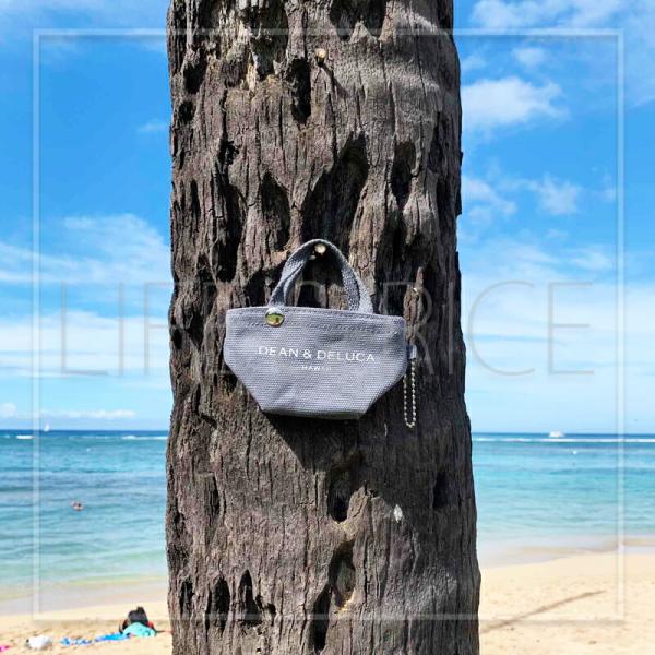 life-m_dandd-keyholder