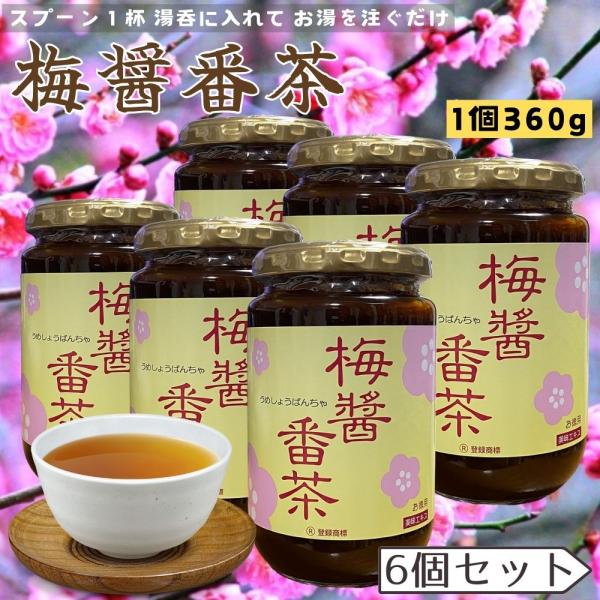 梅醤番茶 (６個セット) 生姜 番茶 醤油 お茶 南高梅 紀州梅 梅 エキス アイリス 360g×6 賞味期限2027/04