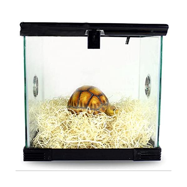 ポプラ材マット/-/-・Color:ポプラ材マット・パッケージ個数:1・ポプラウッドシルクは 環境にやさしく 他の添加物を含まない理想的な履帯マット素材です・このポプラ材を使ったペットマットは 抜群の保湿力を発揮します・鳥 トカゲ カメ リ...