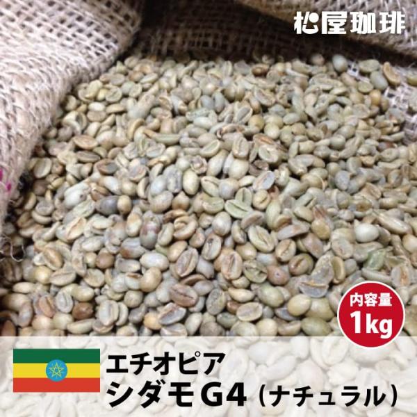 松屋珈琲 コーヒー生豆 エチオピア （モカ）シダモG4 (1kg袋) : Life