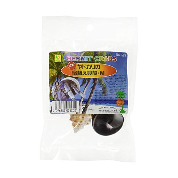 無し/Mサイズ (x 1)/-・パッケージ個数:1・(b)原産国 :(/b) 東南アジア・(b)原材料 :(/b) 天然貝