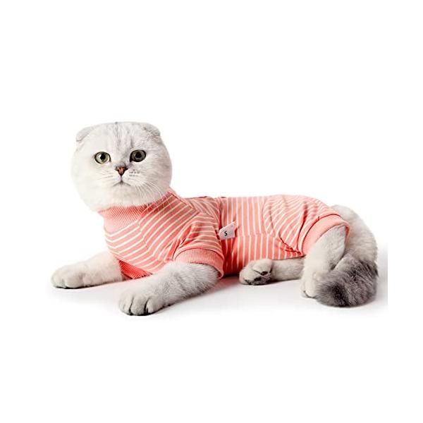 オレンジ/L　サイズ/-・Size:L　サイズColor:オレンジ・パッケージ個数:1・?快適な着心地高品質で柔らかい綿生地で作られ、安全無毒で猫の皮膚に優しい、手術後の回復時間もより快適に過ごせます。耐久性があり、抗菌防臭で通気性と弾力性...