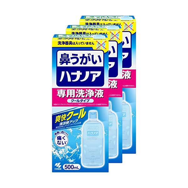 他サイト： ハナノア まとめ買い 小林製薬 鼻うがい 花粉 や 鼻炎 などの 鼻詰まり に  はなうがい 鼻洗浄 はなうがい洗浄液 鼻 うがい 詰め替え はの商品画像