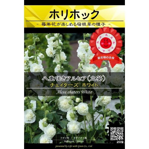 宿根草種子 八重咲きアルセア チェイターズ ホワイト ホリホック 立葵 タチアオイ Life With Green Life With Green Yahoo 店 通販 Yahoo ショッピング