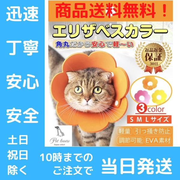 ※販売価格を抑える為、定形外配送となります。配送保証がないため、配送による箱潰れやスレに関する返品、交換はお受けできません。通常2-3日ほどで到着予定となります。※2021.10.2より普通郵便につきましては土曜日・日曜日・祝日の配達が休止...