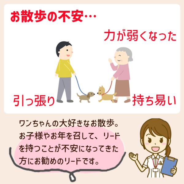 lifedea_c202404102_1_d_20240529150227