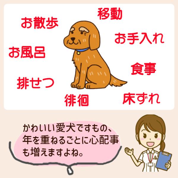 lifedea_c202404102_2_d_20251002161600