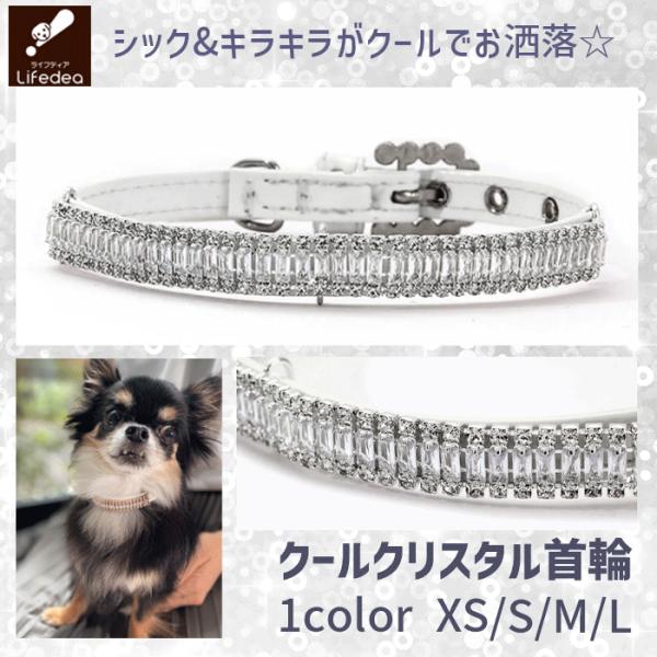 犬 首輪 かわいい おしゃれ シルバー クール キラキラ 犬首輪 犬