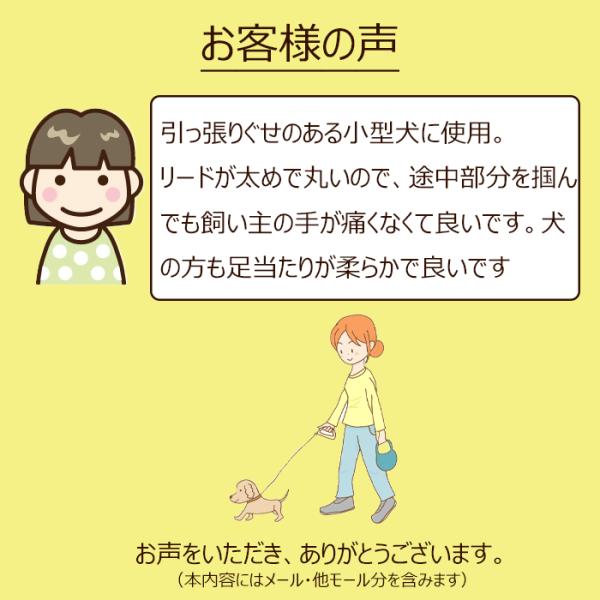 lifedea_l202410312_3_d_20250317090854