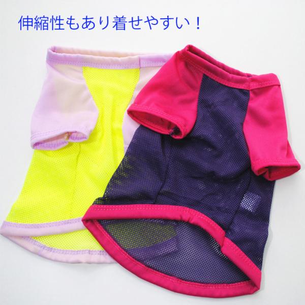 lifedea_w2022042721_4