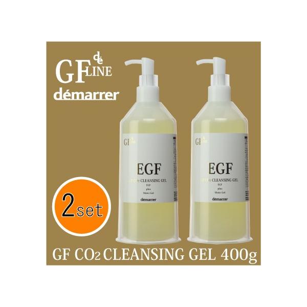 f} GF Y_NWO 400g  x 2{Zbg EGY_NWO CNƂ GCWOPA ܂GN }cGN Ɩp C[W[Gt q Ki