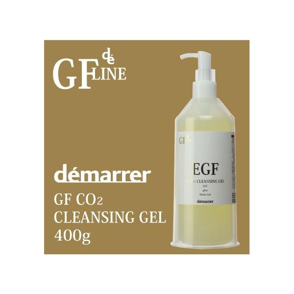 f} GF Y_NWO 400g  EGY_NWO CNƂ GCWOPA ܂GN }cGN Ɩp C[W[Gt Ki q