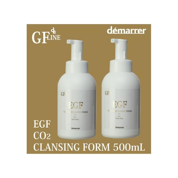 f} GF Y_tH[ Ɩp 500ml 2{Zbg EGY_tH[ GCWOPA ێ C[W[Gt Ki