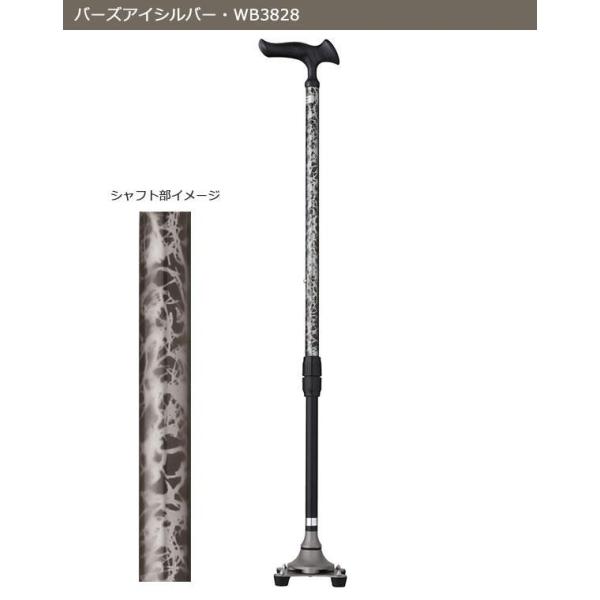 邪4|CgXebL@o[YACVo[iWB3828j