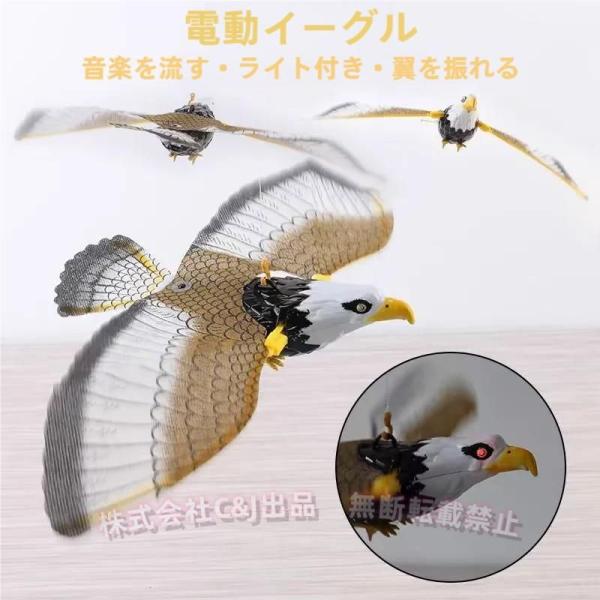 鳥よけ カラスよけ 鳩よけ 鳥撃退 鷹カイト C&J（株) 鳥追い凧 イーグルカイト 園芸 防鳥 庭の装飾 撃退グッズ ベランダ 畑 対策に