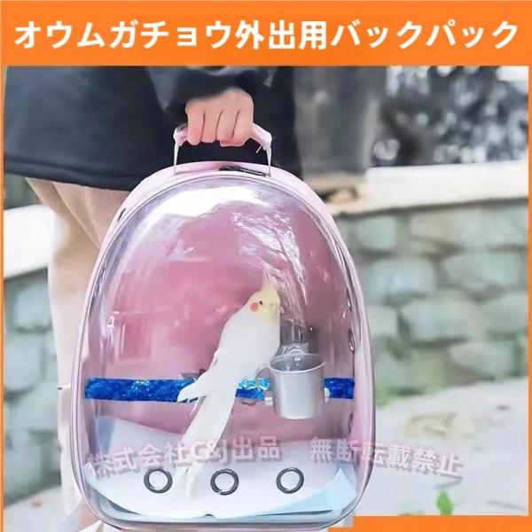 鳥用 リュック お出かけ 外出 通気 持ち運び便利 止まり木付き 組み立て簡単 ケージ バッグ インコ 鳥 かご 移動 ペット オウム 病院 旅行