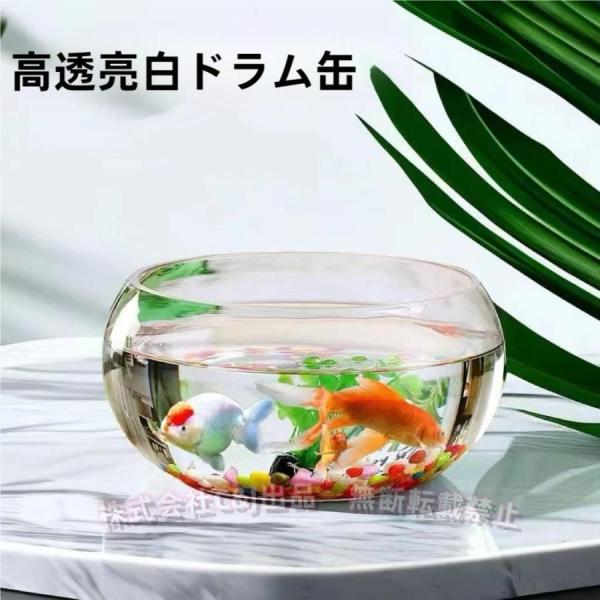 金魚鉢 丸型 ガラス水槽 小型〜大容量 透明 アクアリウムボウルC&J（株