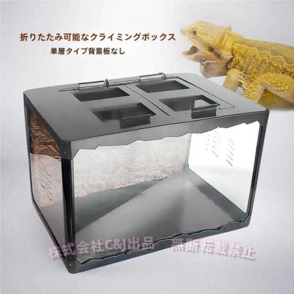 爬虫類　飼育セット lifellshop_p2129813126a43