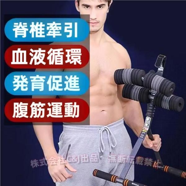 ぶらさがり健康器 逆さぶら下がり健康器C&J（株)体幹/腹筋