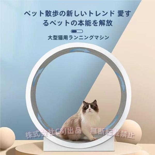キャットホイール猫の車輪猫の回し車猫のトレッドミル猫のエクササイズ
