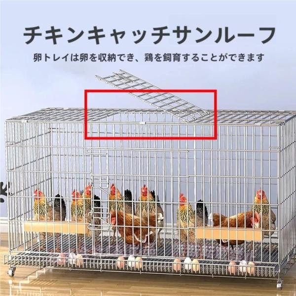 鶏用ケージ 大型 鶏かご 鶏小屋 家庭用 飼育ケージ 家禽用ケージ 鶏舎