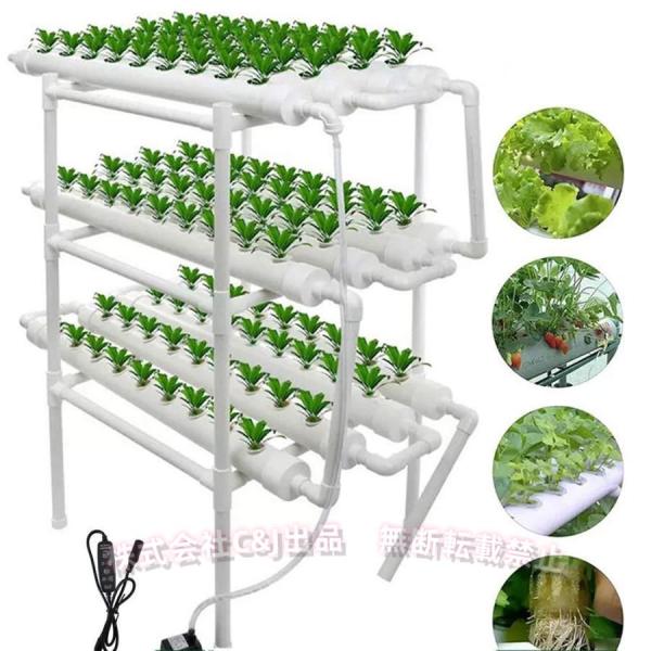 水耕栽培キット 野菜 栽培キット すいこう栽培キット 室内 いちご 家庭菜園 水耕栽培セット プランター 108穴