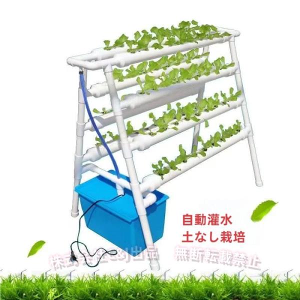 水耕栽培キット すいこう栽培キット いちご 野菜 栽培キット 室内 家庭菜園 水耕栽培セット プランター72穴 (72 穴)