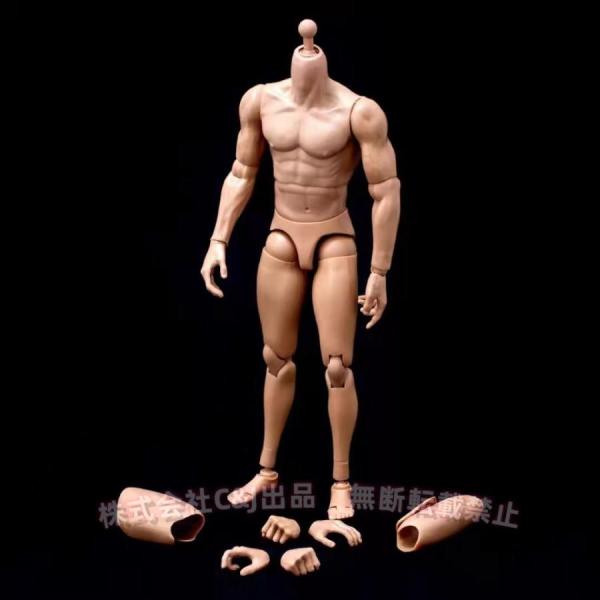 精巧 1/6 ホットトイズ対応 C&J 筋肉素体 : TAHUNA SHOP - 通販