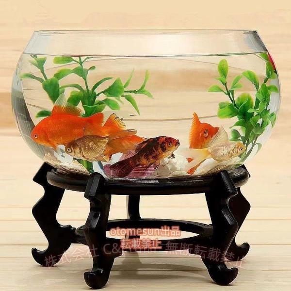 金魚鉢 丸型金魚鉢 ガラス 透明 テーブル アクアリウム ボウル 観葉植物 大容量 C&J おしゃれ インテリア 容器 オブジェ テラリウム 花瓶 省スペース